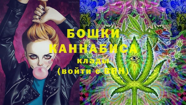 прущий лед Бородино