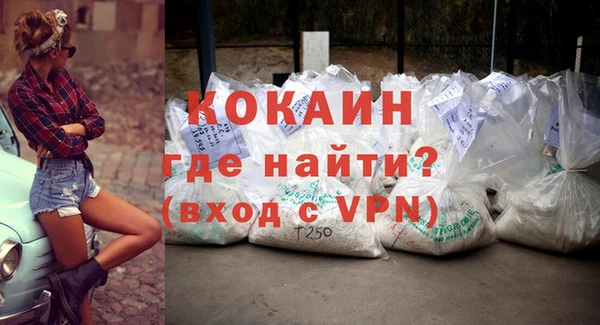 прущий лед Бородино