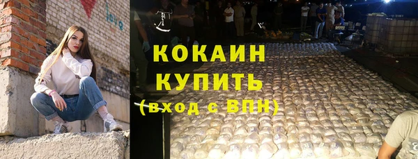 прущий лед Бородино