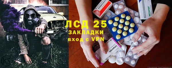 прущий лед Бородино