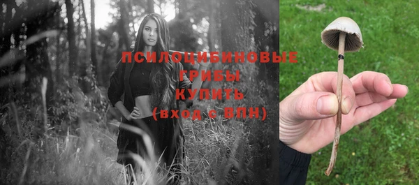 прущий лед Бородино