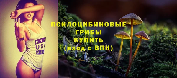 прущий лед Бородино