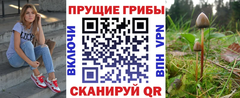 Галлюциногенные грибы мухоморы  где продают   Крым 